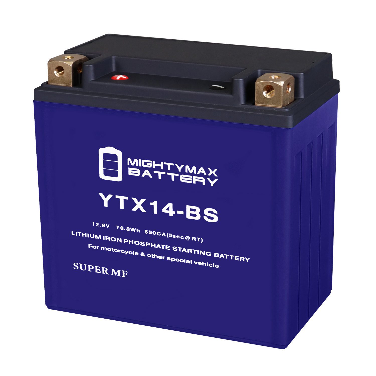 Mighty Max YTX30L-BS Sealed AGM Battery