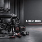 Best Dog Car Seat